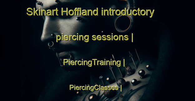 Skinart Hoffland introductory piercing sessions | PiercingTraining | PiercingClasses | SkinartTraining-United States